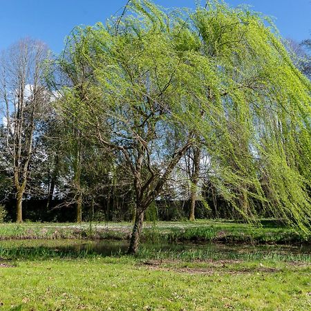 New! La Stanza In Villa Lukka Zewnętrze zdjęcie