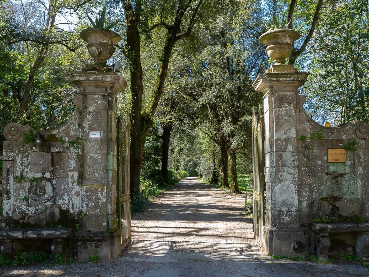 New! La Stanza In Villa Lukka Zewnętrze zdjęcie