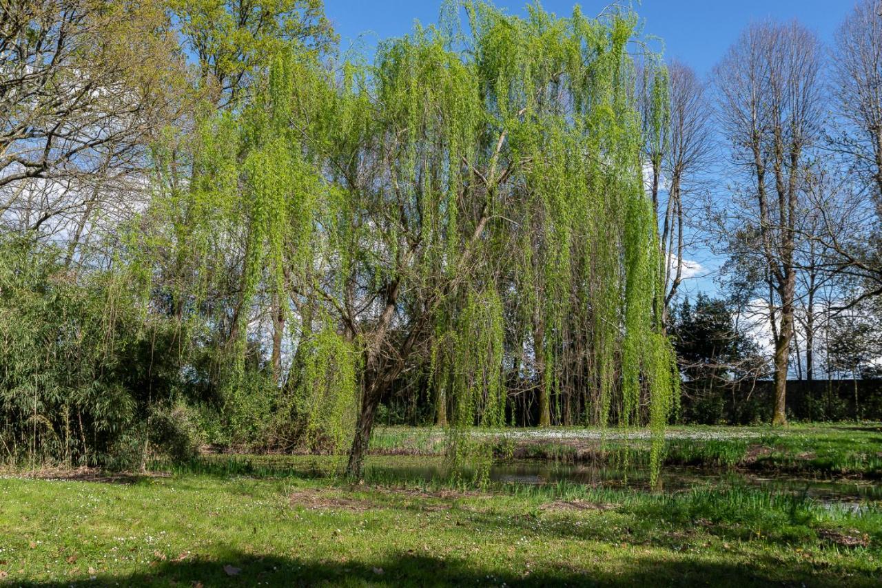 New! La Stanza In Villa Lukka Zewnętrze zdjęcie
