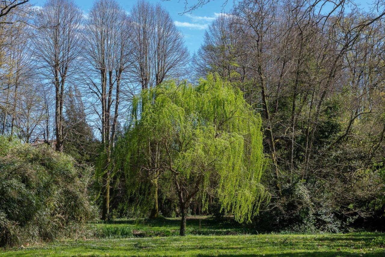 New! La Stanza In Villa Lukka Zewnętrze zdjęcie